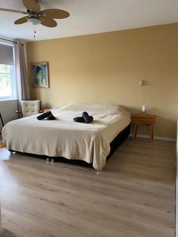 Holiday home Sunnystay 43 Middelburg