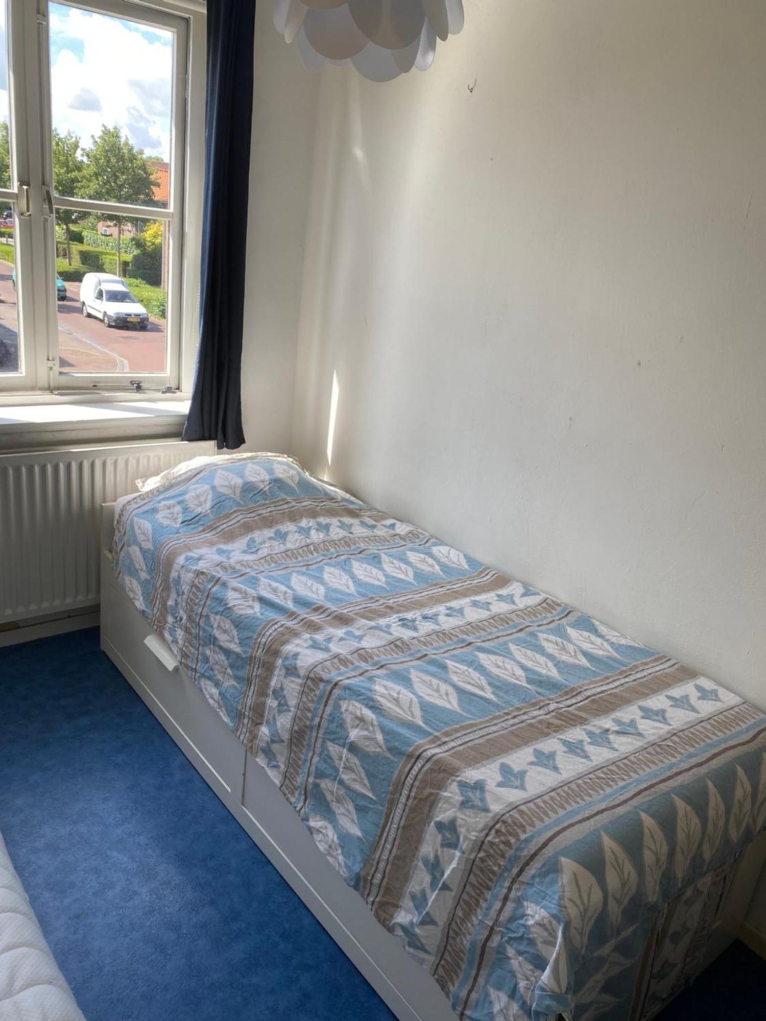Sunnystay 43